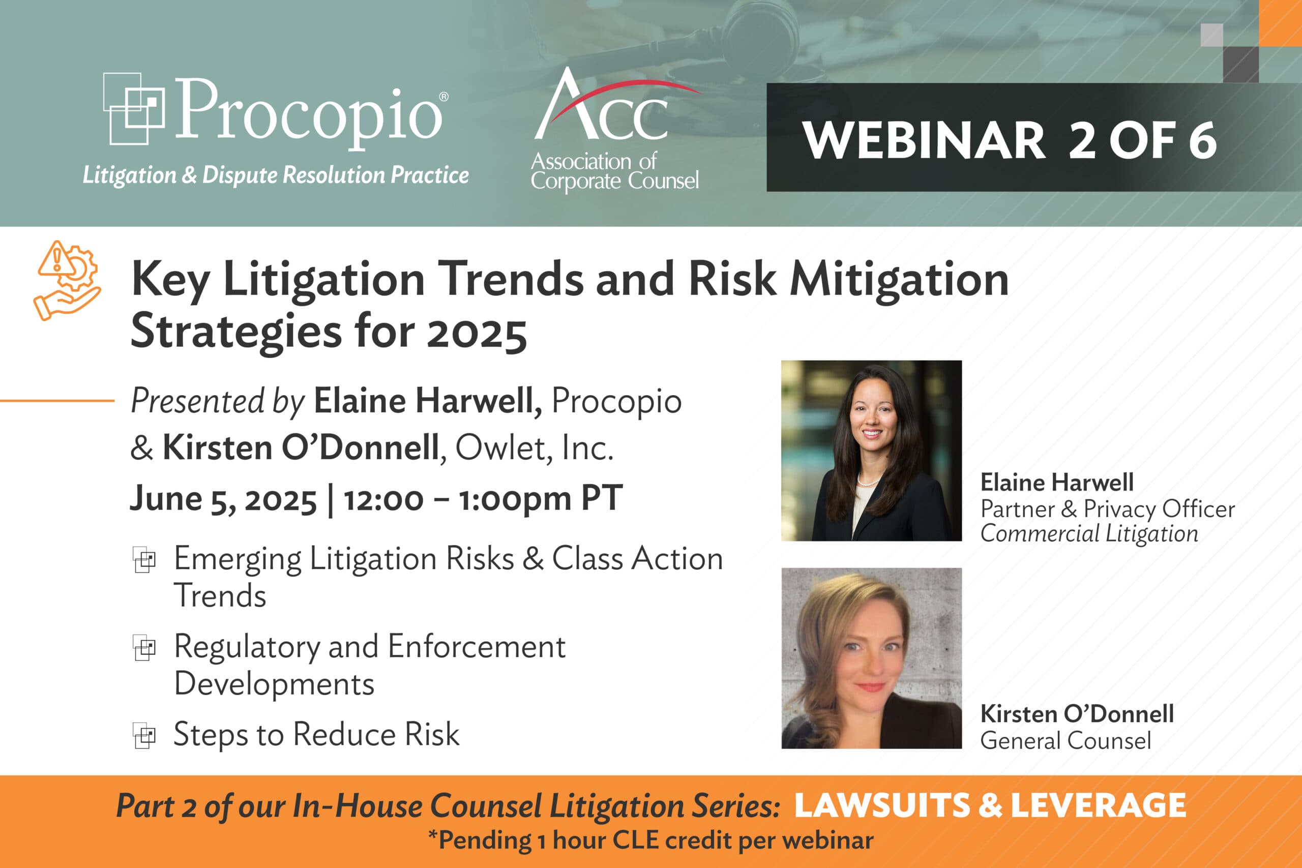 Key Litigation Trends and Risk Mitigation Strategies for 2025: Lawsuits and Leverage Series